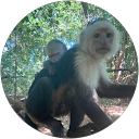 Crazy Charlie B. profile picture