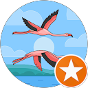 Francesca L. profile picture